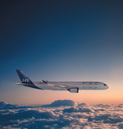 Photo of SAS branded plane in sky