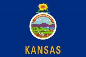 Kansas State Flag