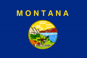 Montana State Flag