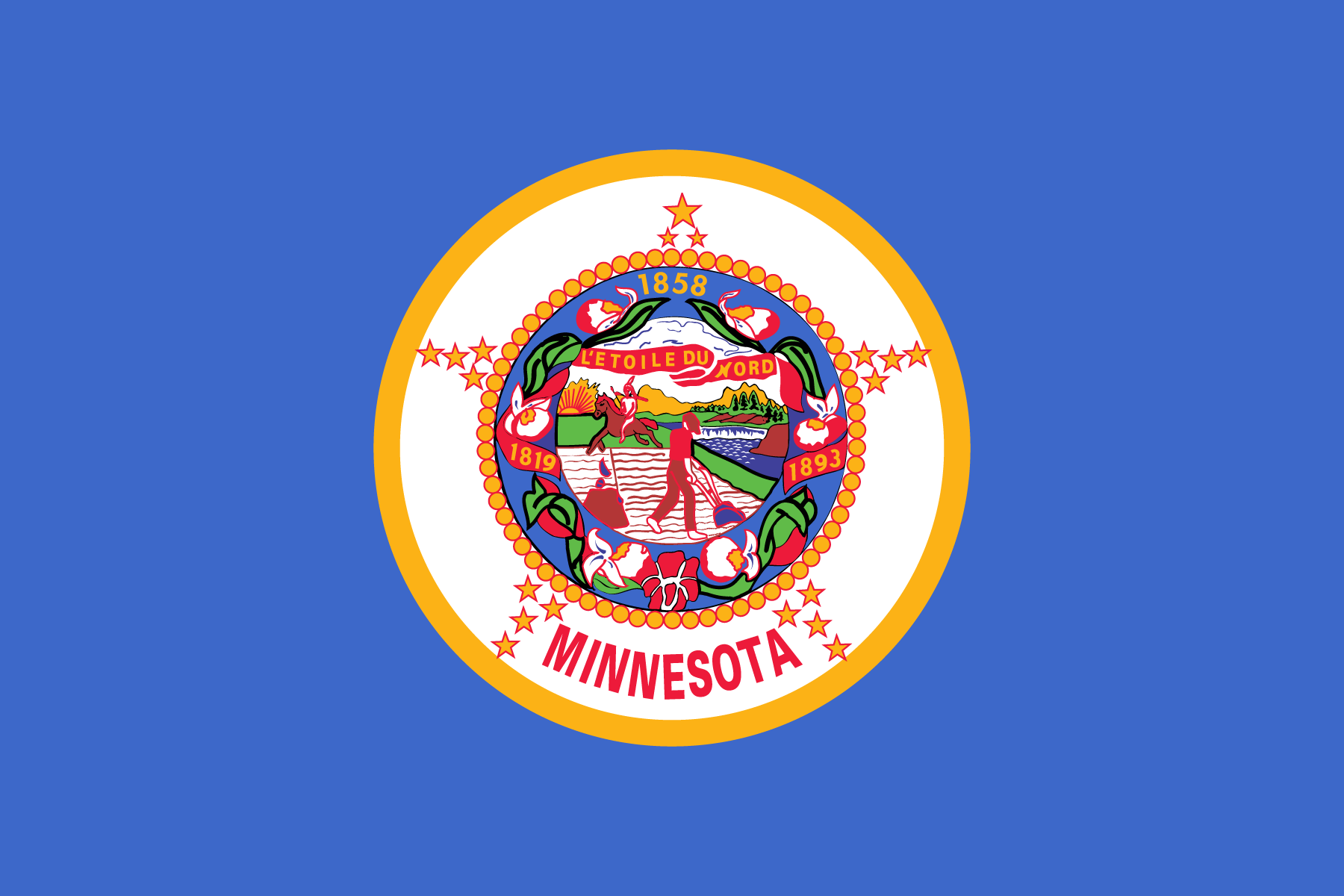 Minnesota State Flag
