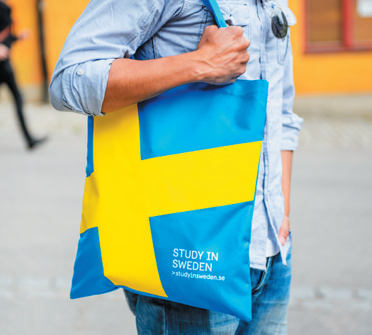 Man with bag inspired by Swedish flag